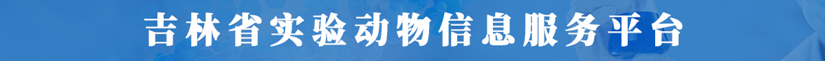 首页中部广告图
